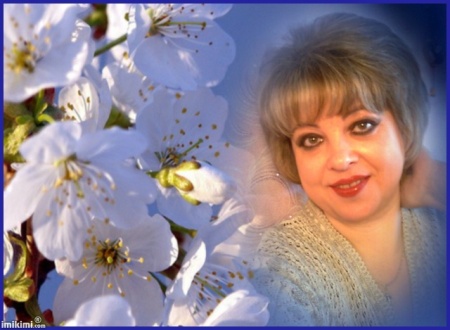 ����� ��������