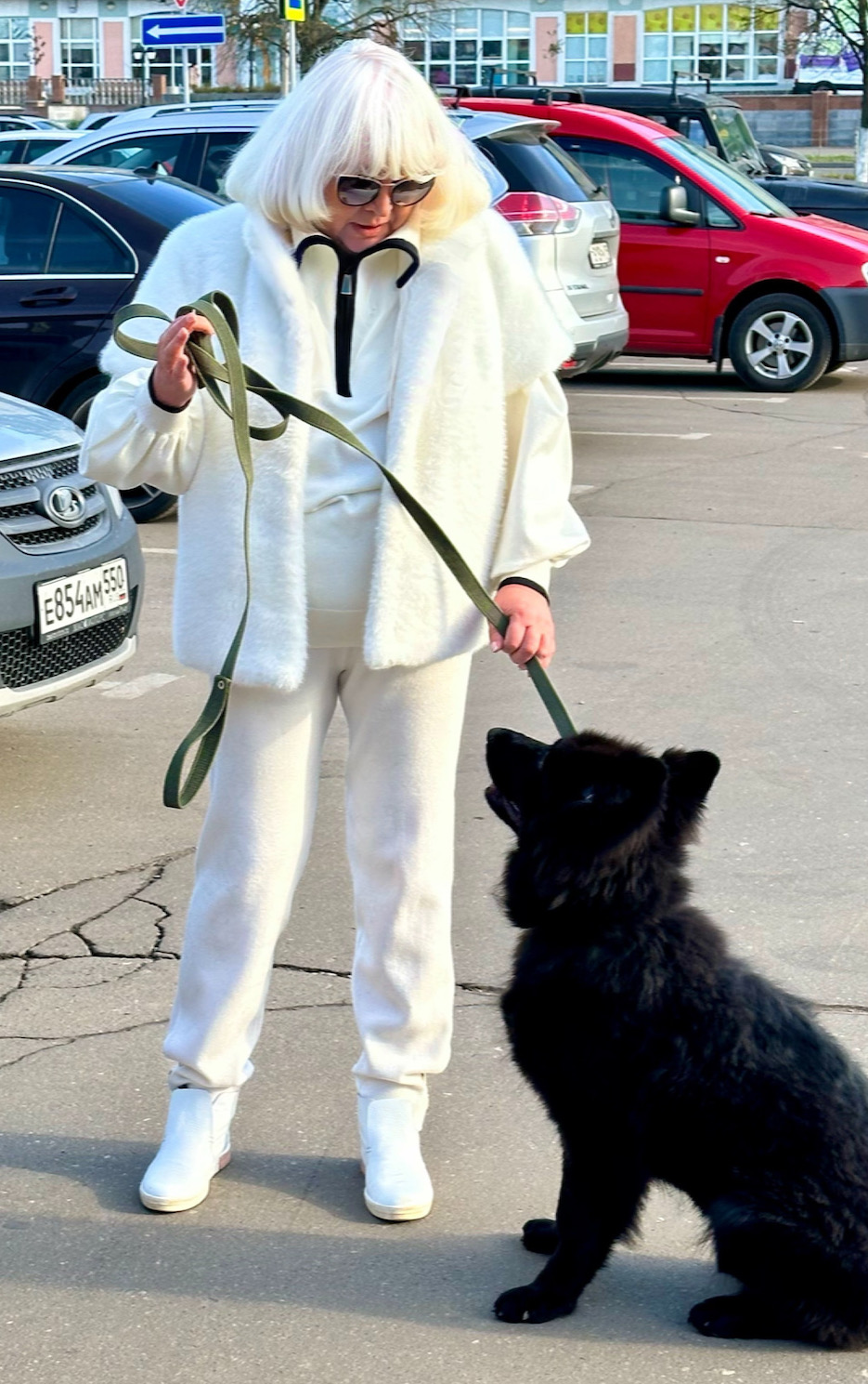 ����� ��������� 7