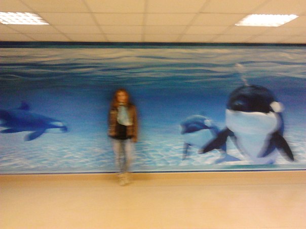 ����� �������