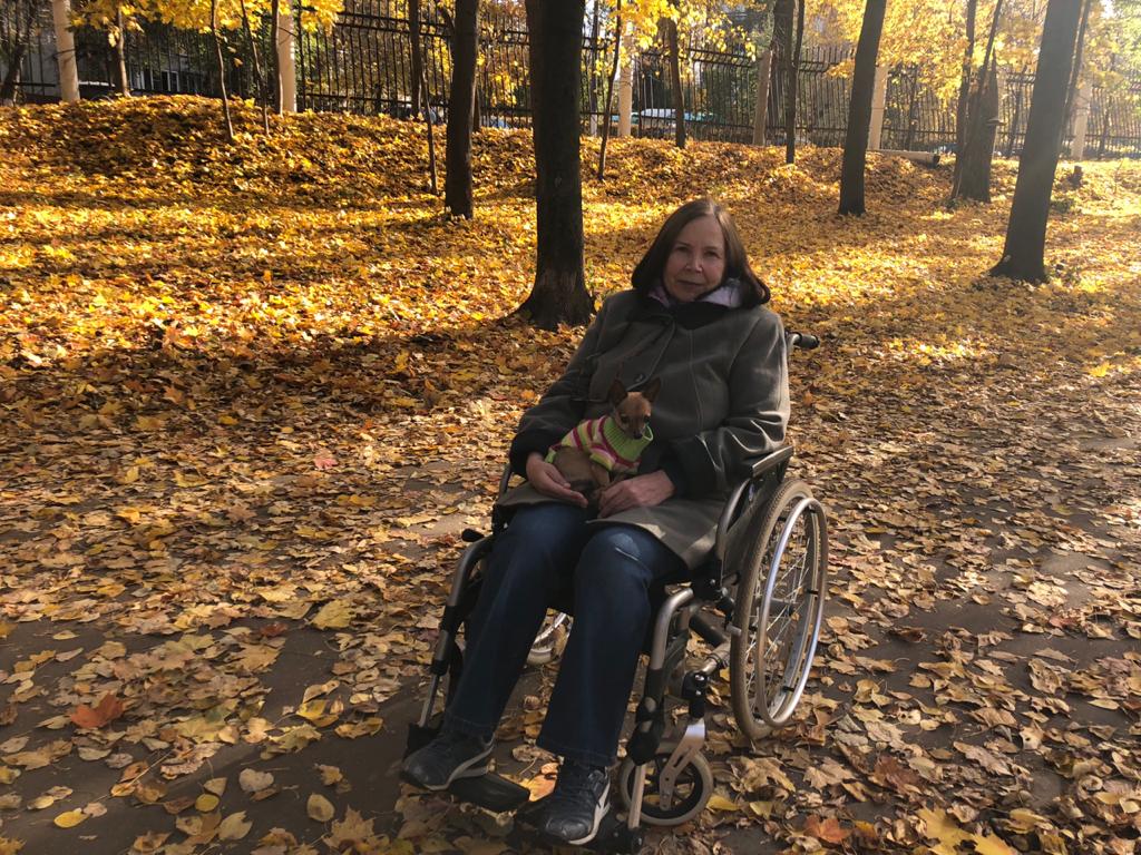 ����� ���������