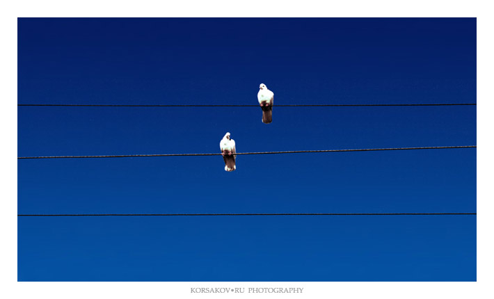 ������� �������