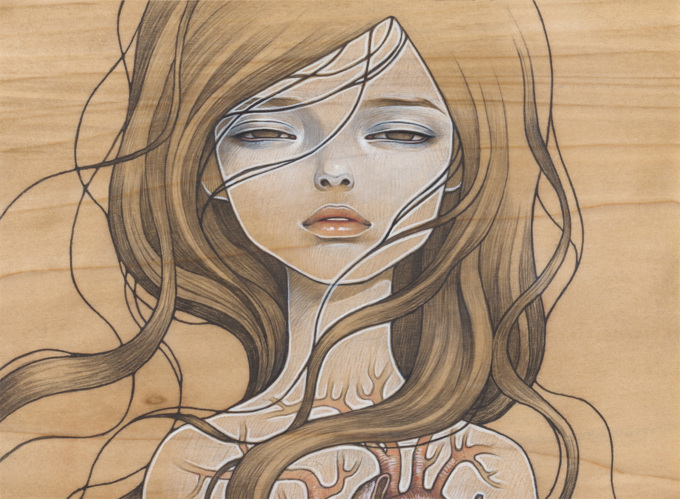 ���� �����