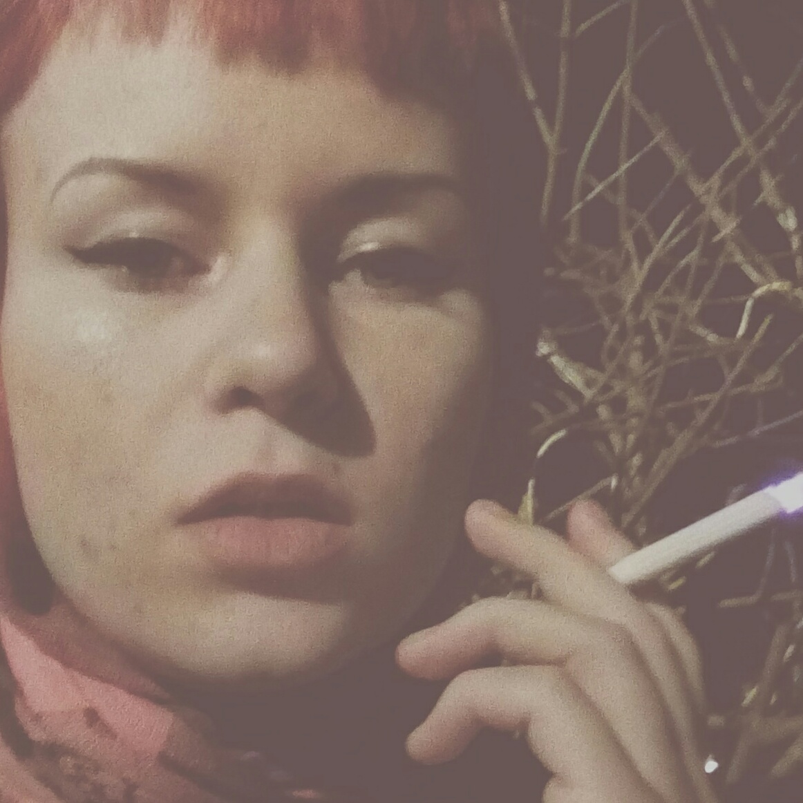 ���� ������