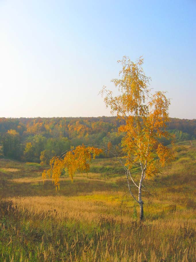 ���� ������������