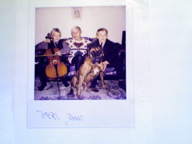 �������� ���������� ��������