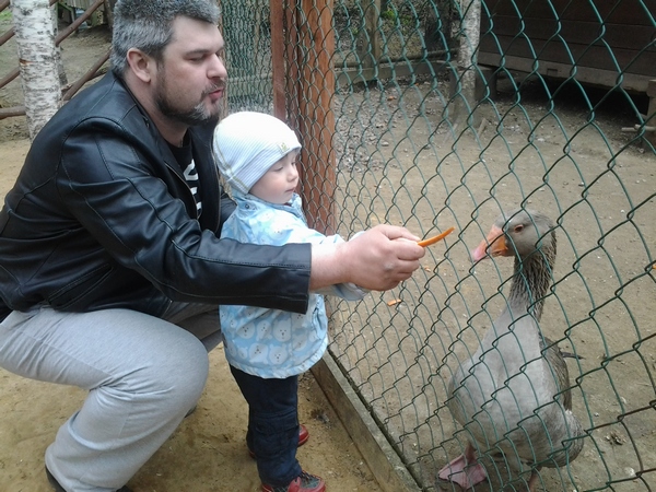 ������� �������