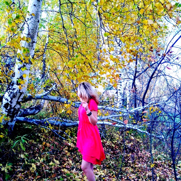 ������ ���������