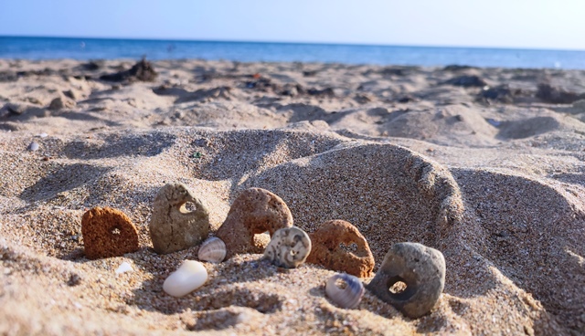 ����� ���������