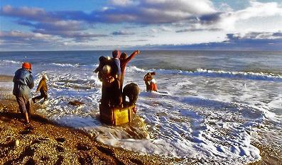 ������ ���������