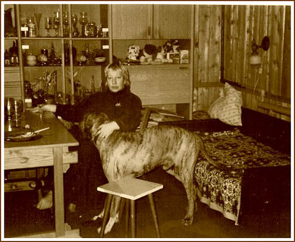 ����� ��������