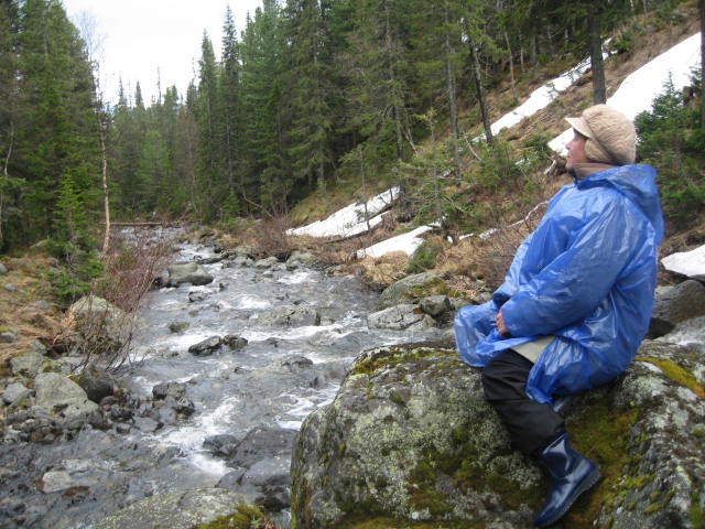 �������� �������