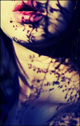 �������� ������