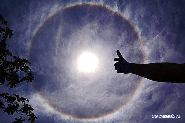 ������ ������