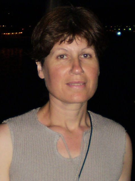 �������� �����������