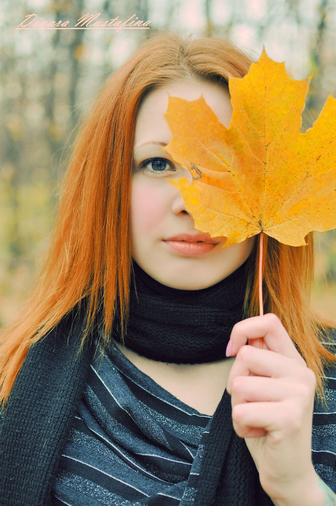 ��������� ��������