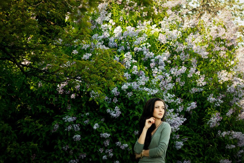 ���� �����