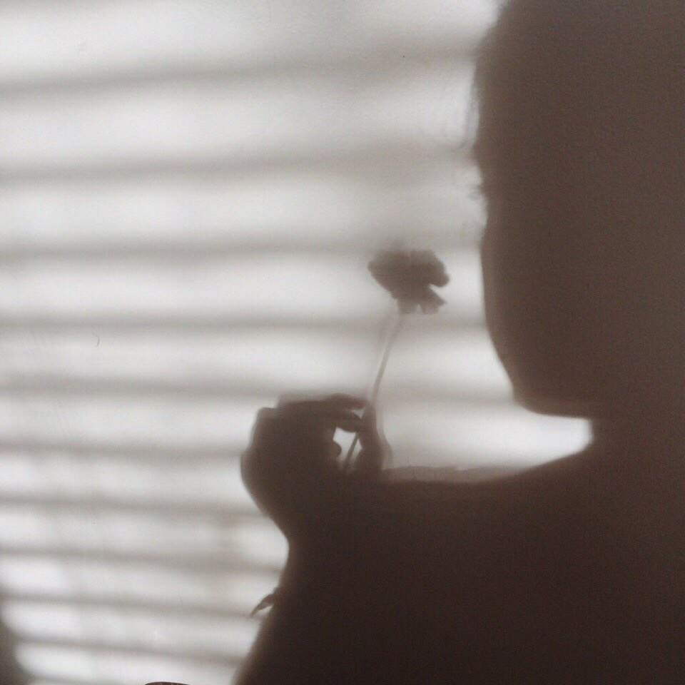 Анастасия Денона