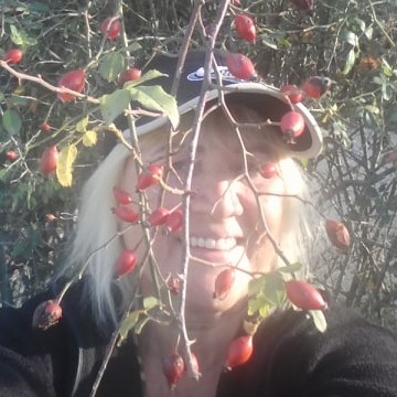 ���� ����