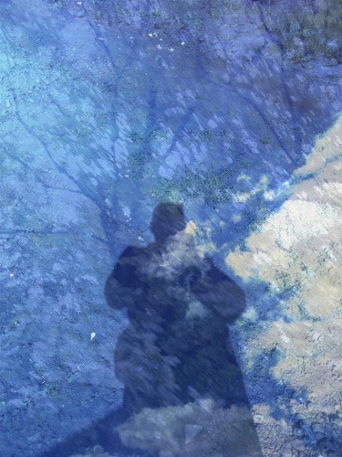 Филин Хали Мун