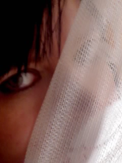 �������� �����������