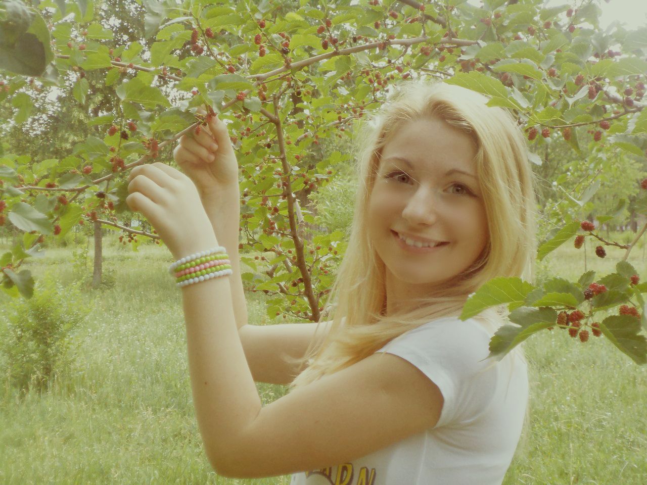 ������ ���������