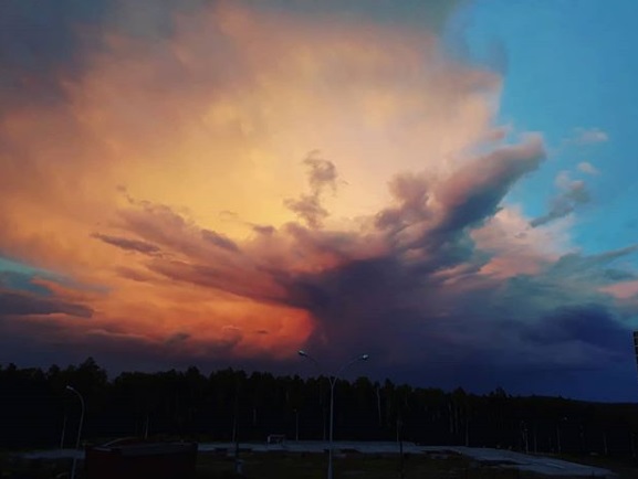 ����� �������