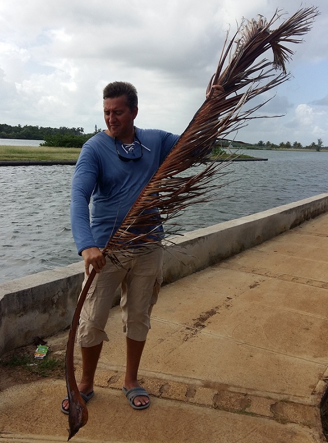 ����� ������