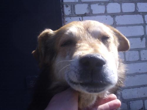 ����� ���