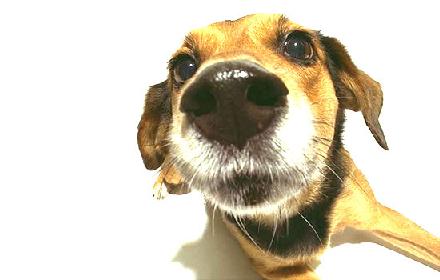 ������ �����