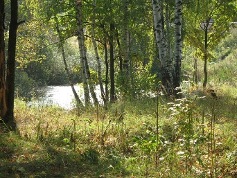 ������� ���������