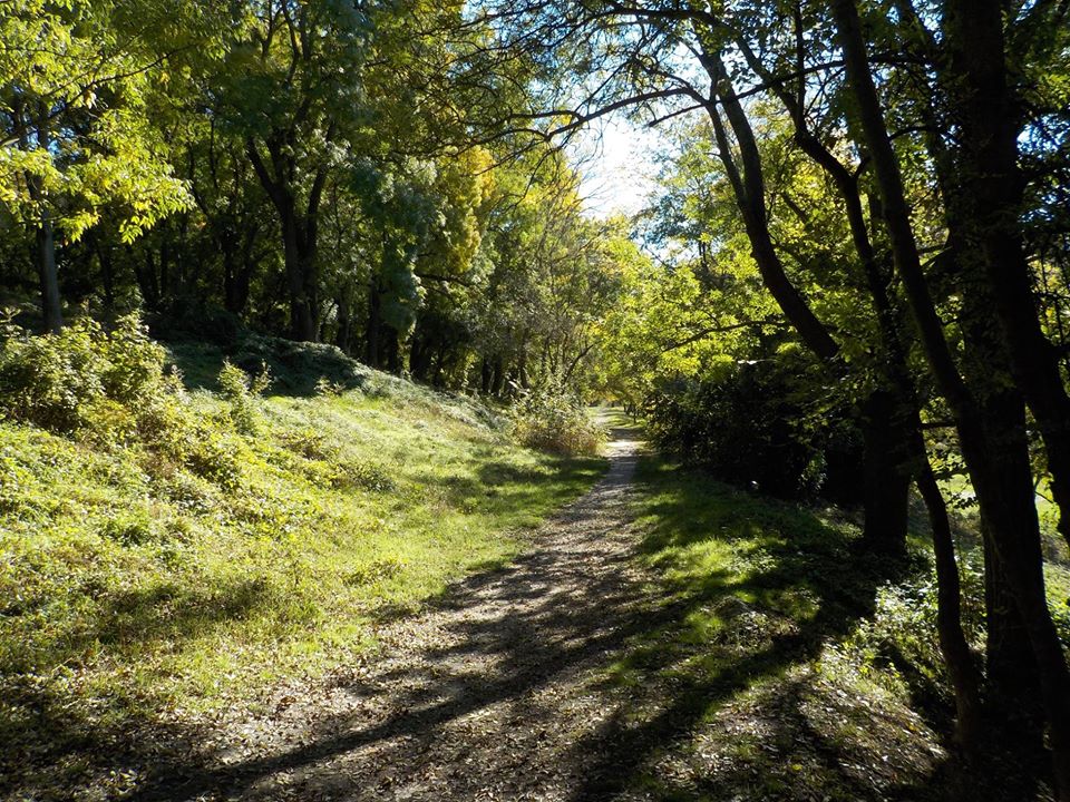 Наталья Мухамедова