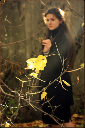 ���� ��� ���� ���