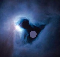 ���� �����