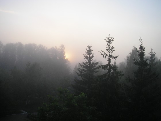 ϸ�� �������