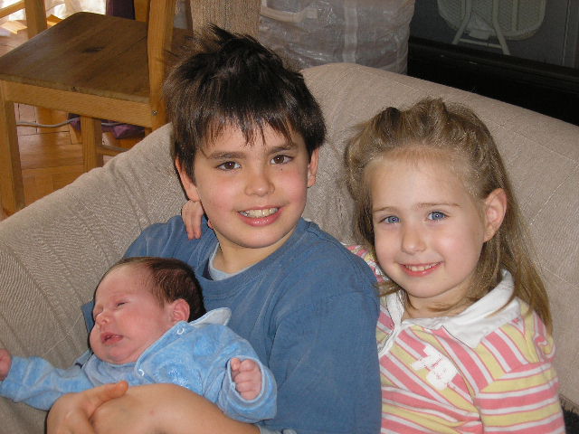 ���� ���� �����