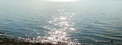 ���� ��������