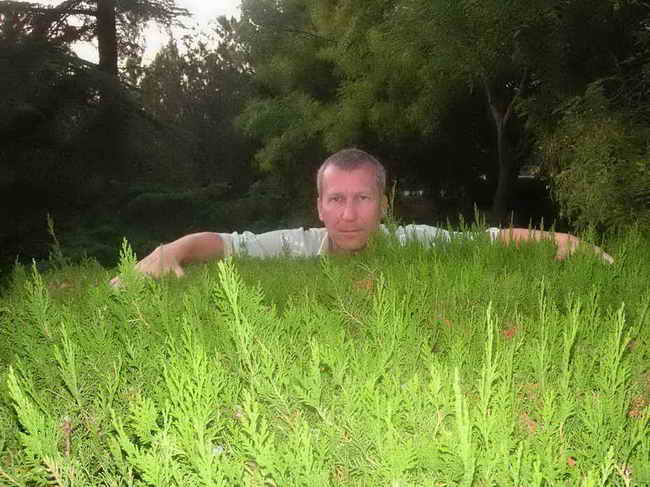 ϸ�� ������