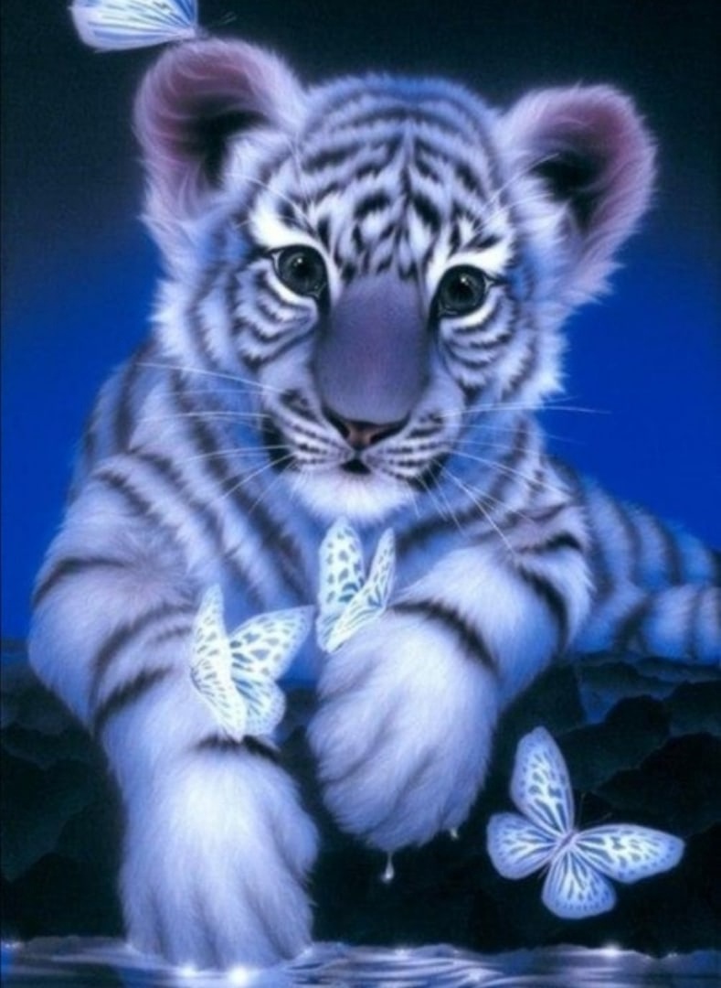 ������ ������ 7