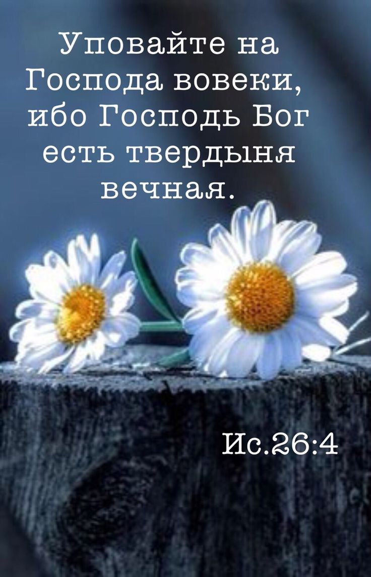 �������� ��������