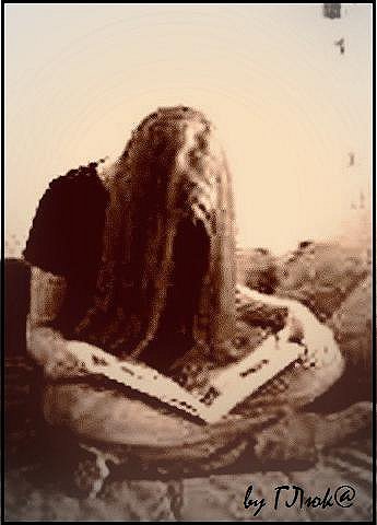 ���� ����������