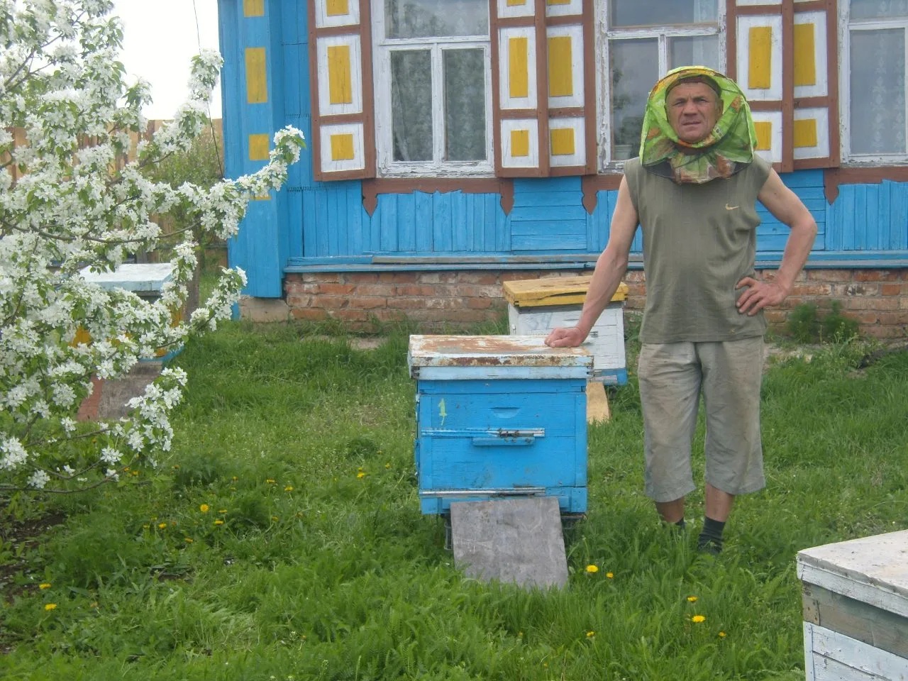 ������� �������� �����������