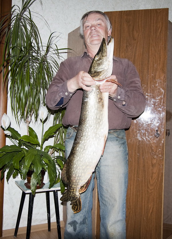 Валерий Заболотних