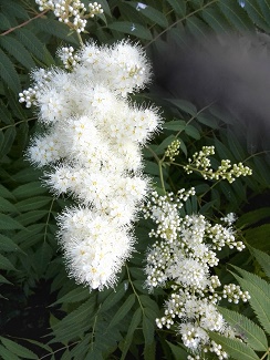 ���� ��������