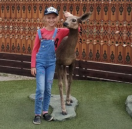 ������ ��������