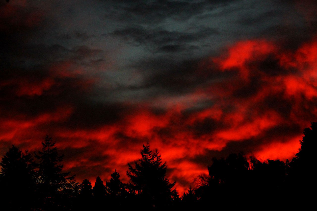 ����������� ���