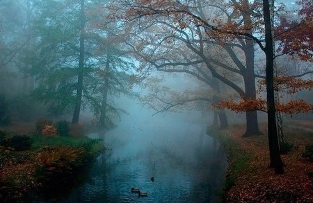 ���� ����