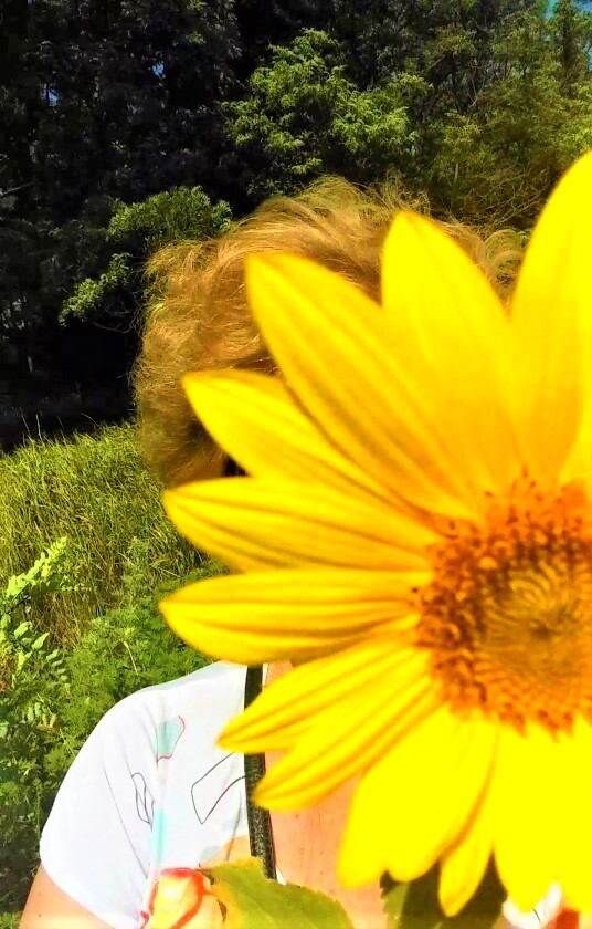 ����� ���������� ��������