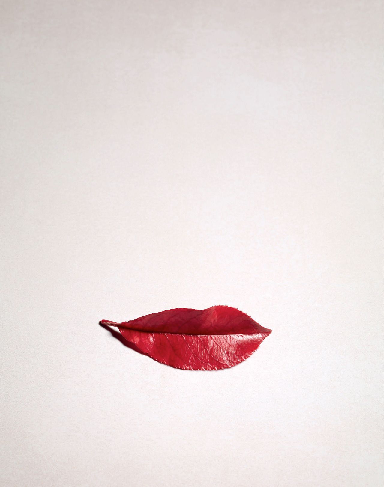 ������ �������������