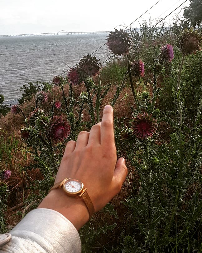 ������� ���