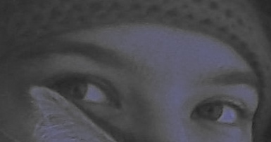 ������ ��������